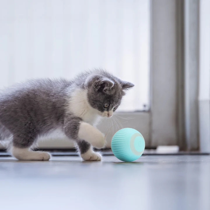 SmartBall™ | Juguete Pelota Interactiva Gatos Usb