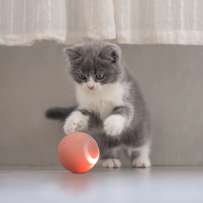 SmartBall™ | Juguete Pelota Interactiva Gatos Usb